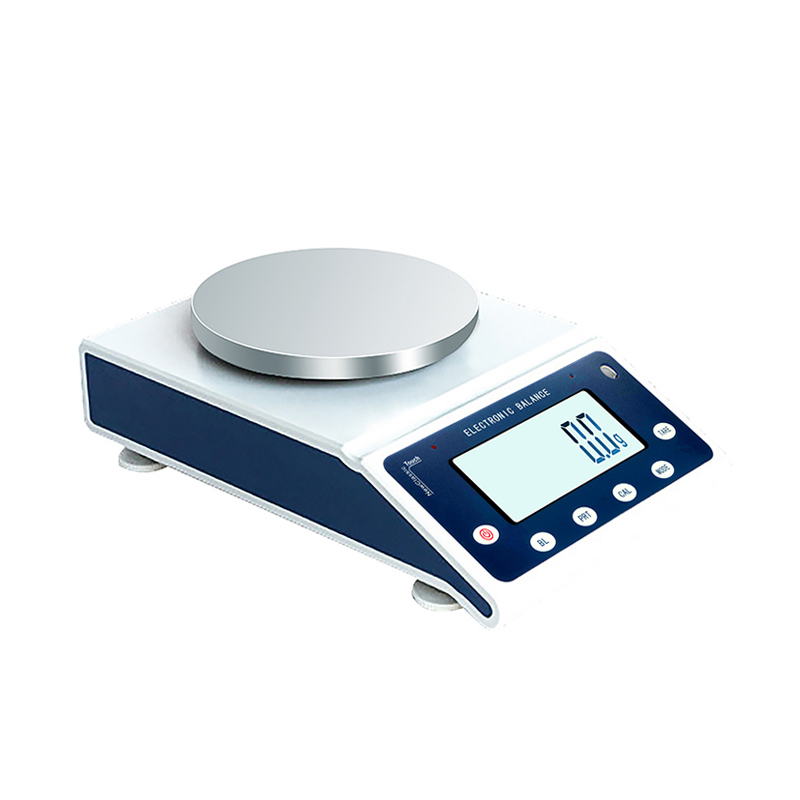 Electronic balance 