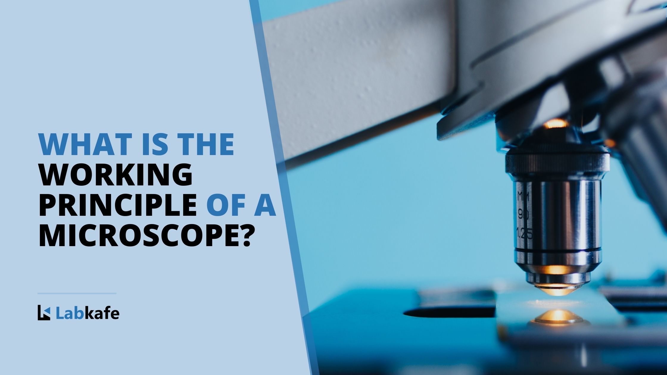 Working Principle of a Microscope | Labkafe