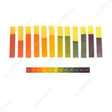 Universal Indicator

