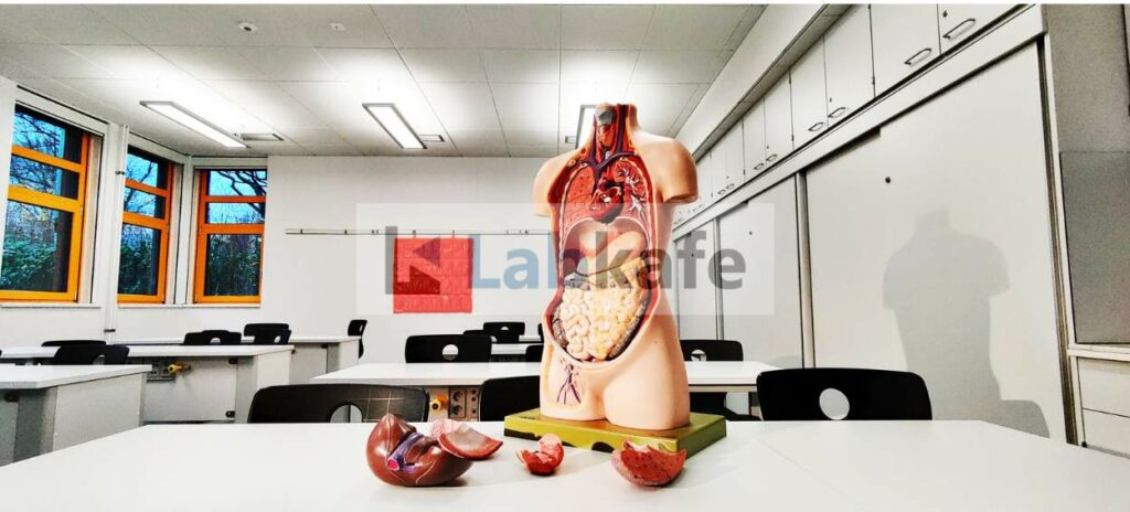 Biology lab equipment for the CBSE composite science lab