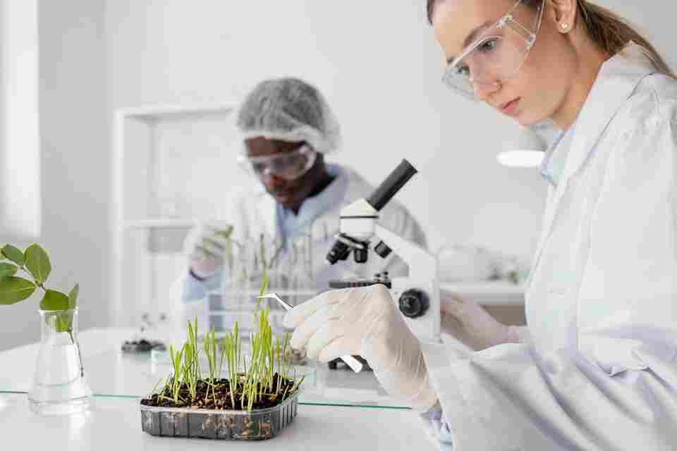 Testing bacteria-plant-soil tripartite interactions in biosafety cabinets class II in environmental research labs