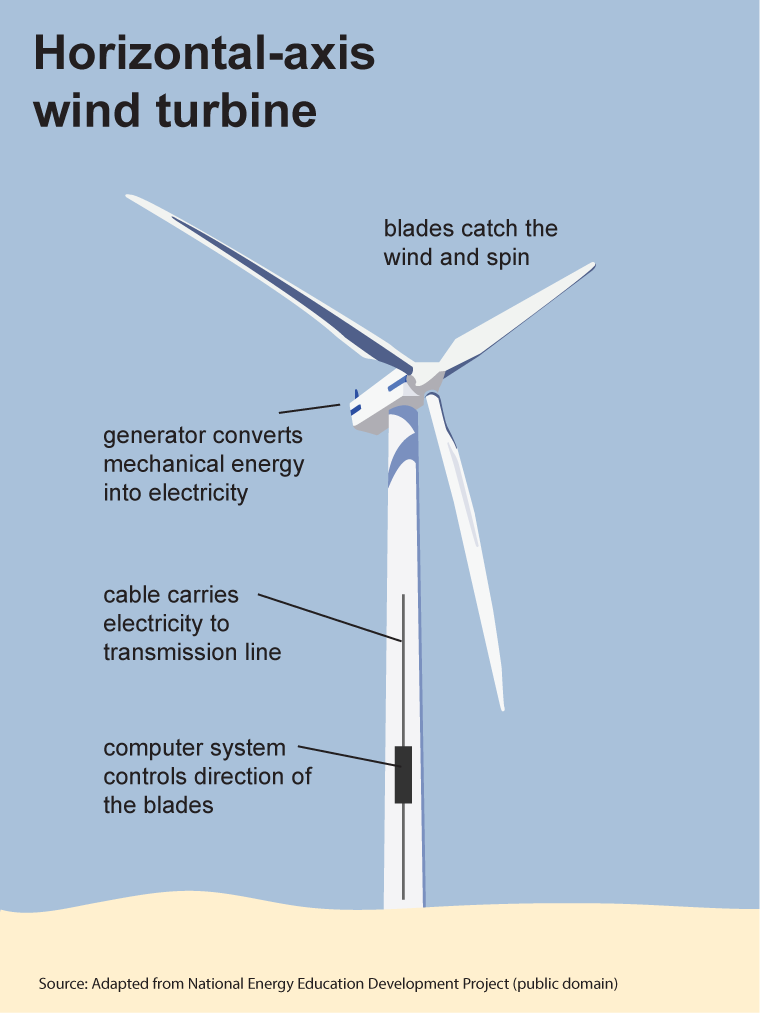 An illustrated diagram of a horizontal-axis wind turbine. It includes labels for the blades, which "catch the wind and spin"; the generator, which "converts mechanical energy into electricity"; a cable that "carries electricity to the transmission line"; and a computer system inside the tower that "controls the direction of the blades." The background is a light blue sky with a sandy base. Text indicates the image is adapted from the National Energy Education Development Project (public domain).