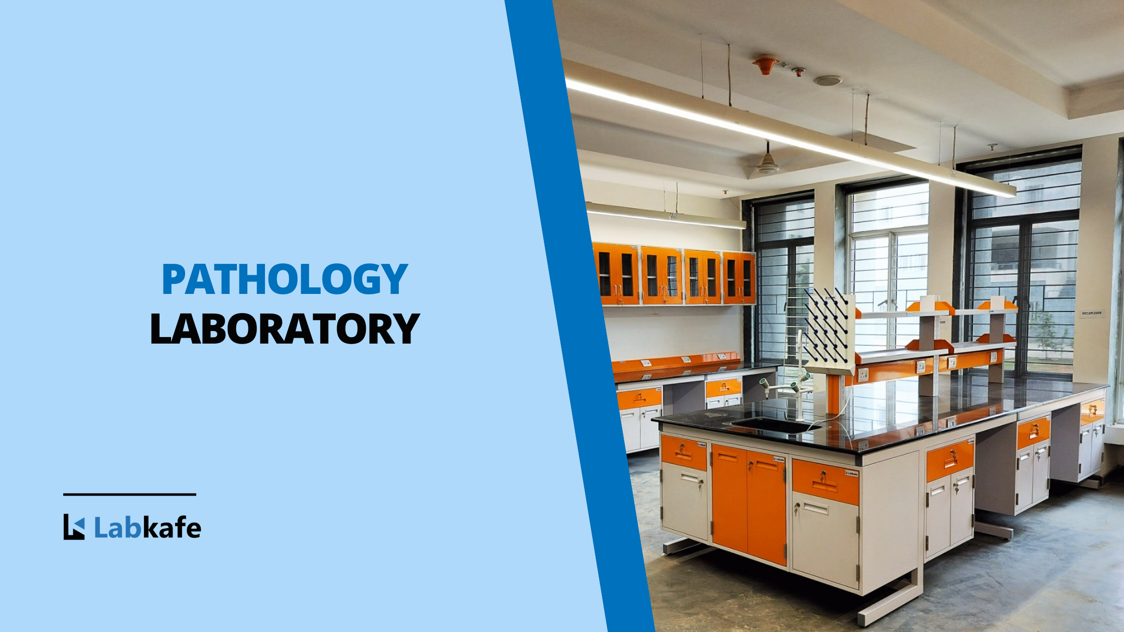 Checklist to Set Up a New Pathology Lab