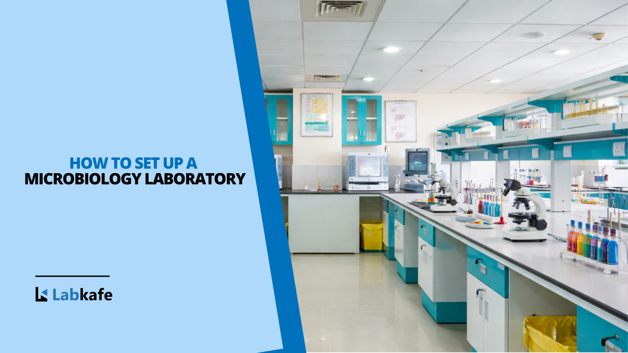 Complete Lab Furniture Setup and Design Guide
