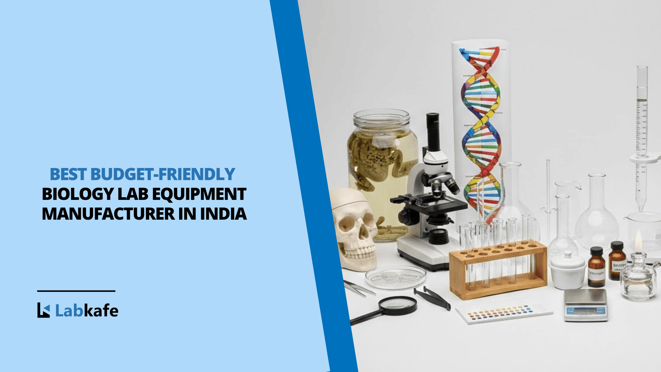 Best budget-friendly Biology Lab Equipment Manufacturer in India