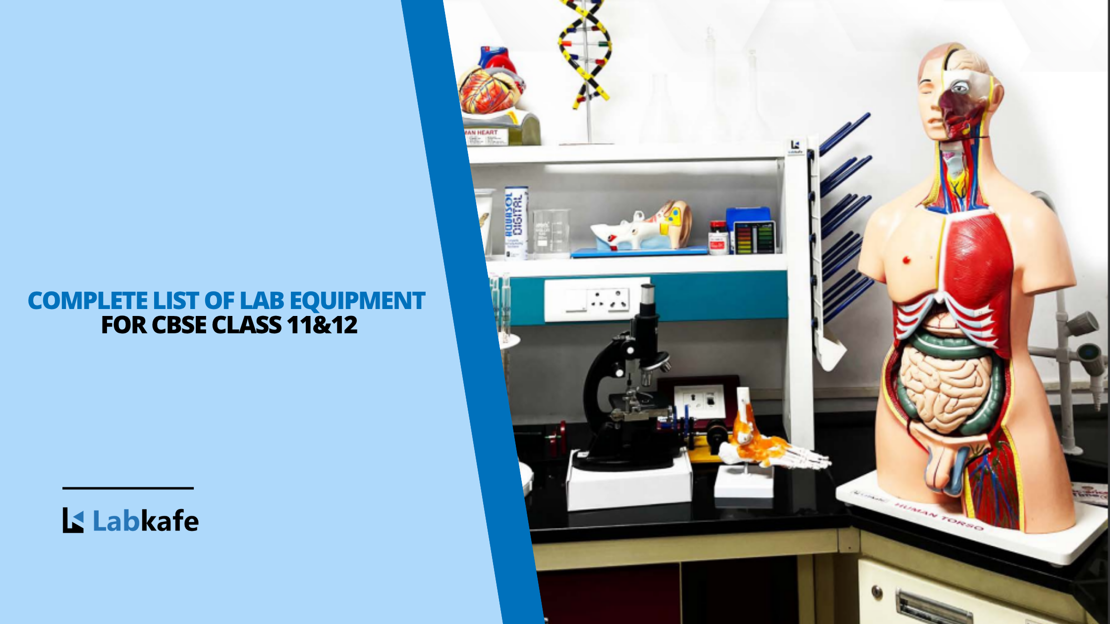 Complete List of Lab Equipment for CBSE Class 11&12