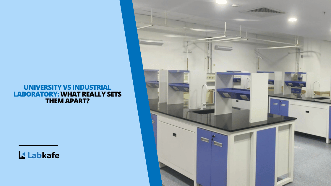 University vs Industrial Laboratory: What Really Sets Them Apart?