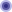 bullet