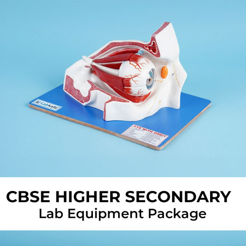 CBSE Higher Secondary Lab Equipment Package (for Class XI-XII)