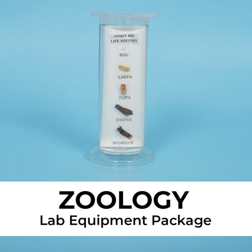 Zoology, Botany, Physiology & Psychology Package