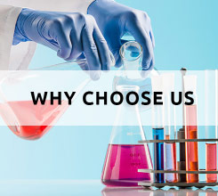 Labkafe Why choose us