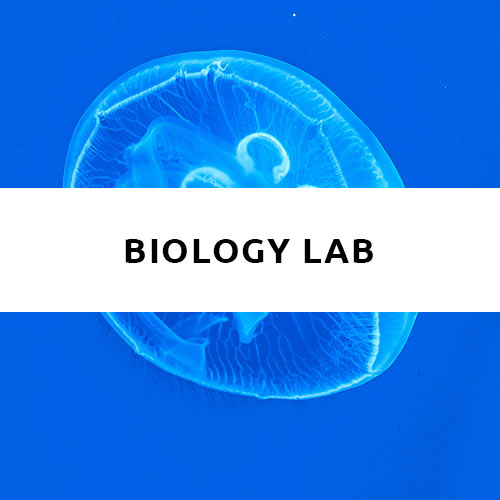 Biology Lab Equipment for School Biology Apparatus Labkafe