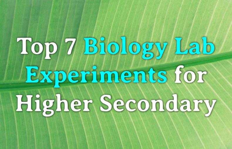 Common biology experiments for class 11 12 Practicals | Labkafe