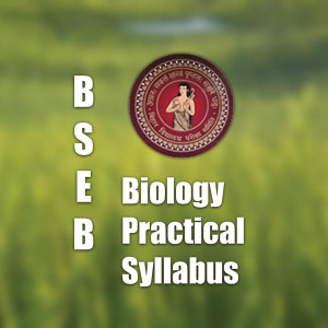 What is the BSEB Biology Practical Syllabus | Labkafe