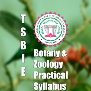 TSBIE Botany & Zoology Practical and Lab Package | Labkafe
