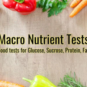 Food tests, macro nutrients tests for class 11-12 | Labkafe