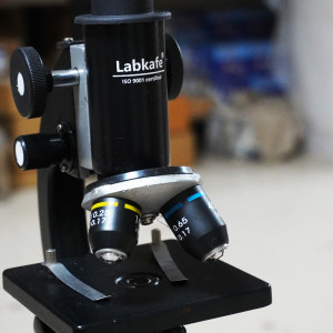 Working Principle of a Microscope