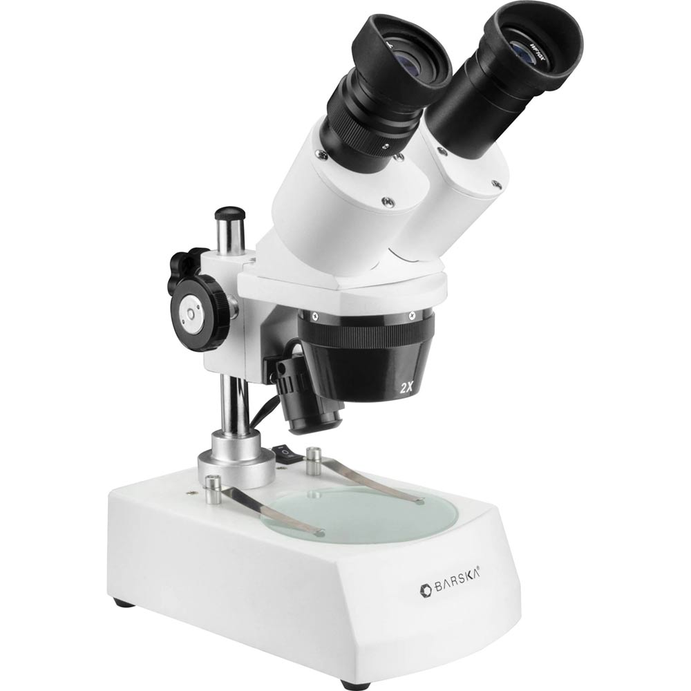 stereoscopic microscope