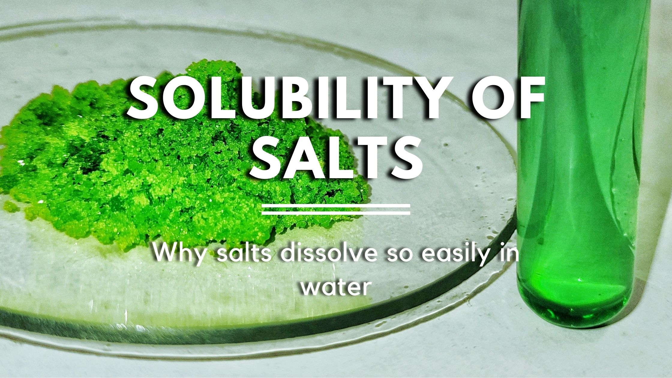 Does Epsom Salt Dissolve In Water Solubility of Salts ‒ Why Common Salts are So Soluble in Water | Labkafe