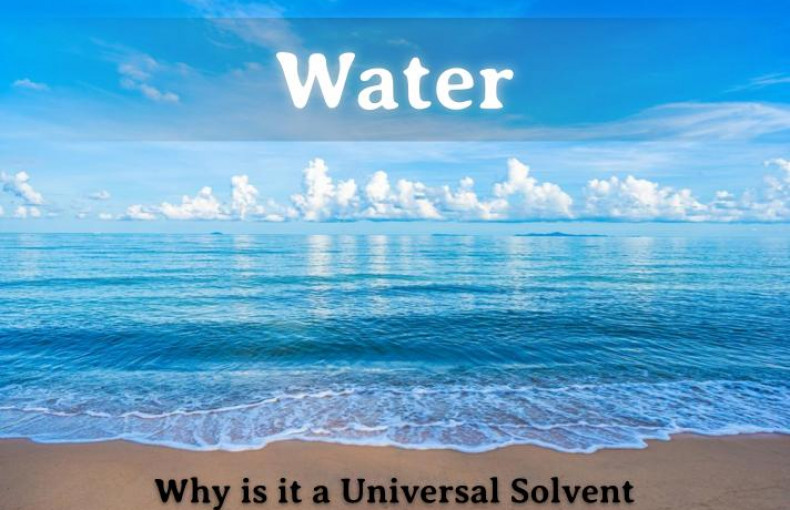 Why Water is Called a Universal Solvent | Labkafe