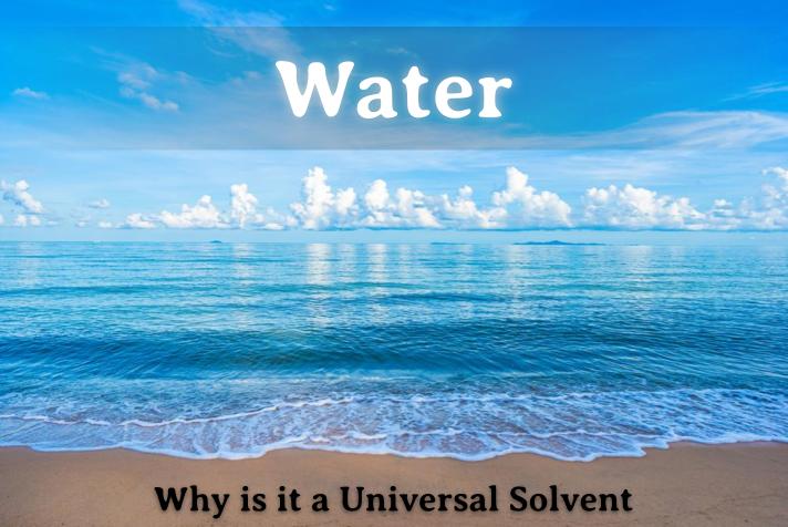 water universal solvent examples