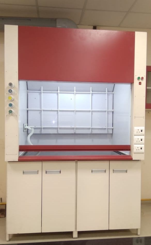 Labkafe fume hood installed