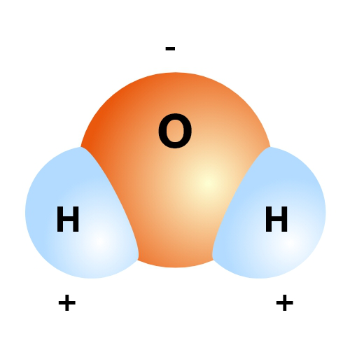 water molecule