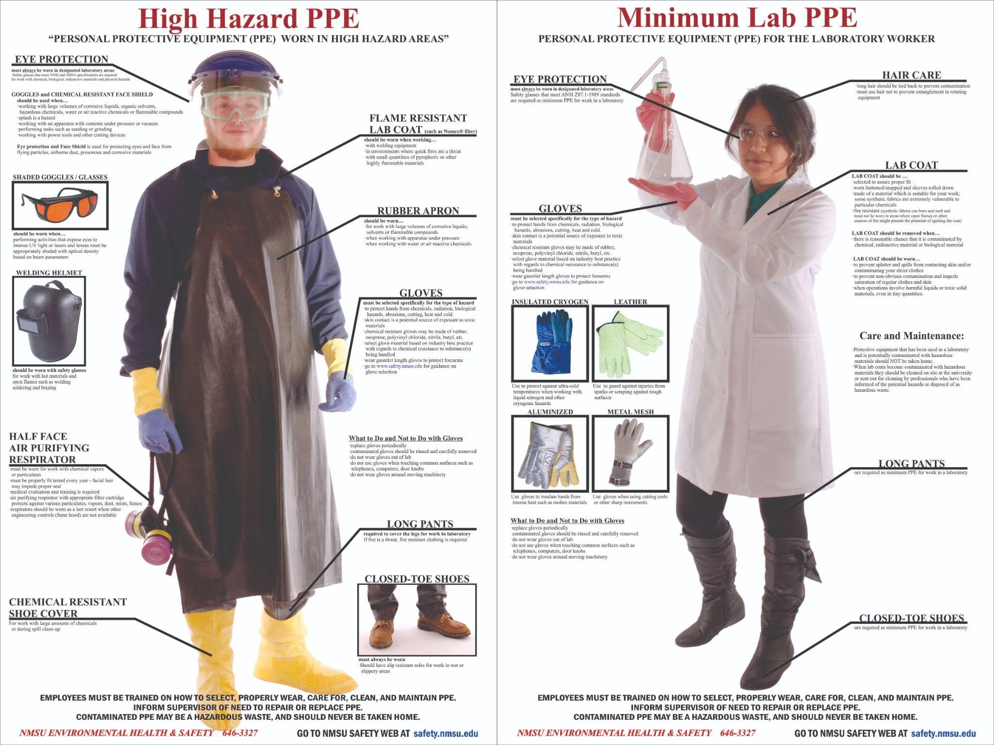 Laboratory Personal Protective Equipment Infographic - vrogue.co