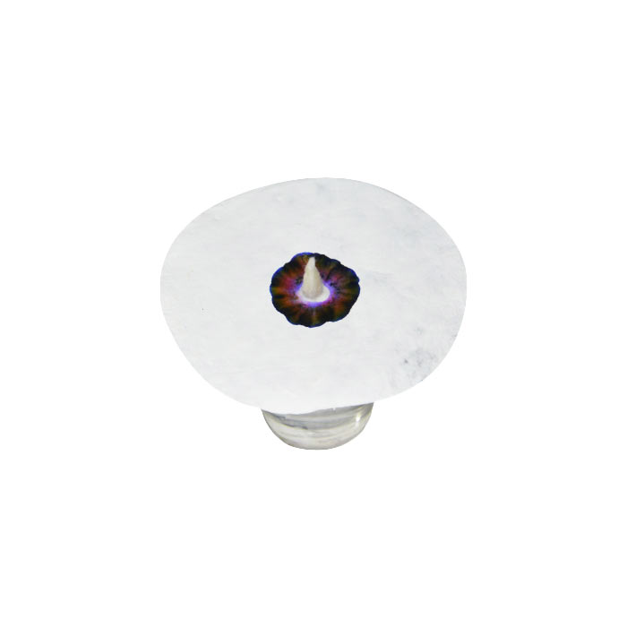 Chromatography KitSTEM ProjectsDIY ProjectsLabkafe