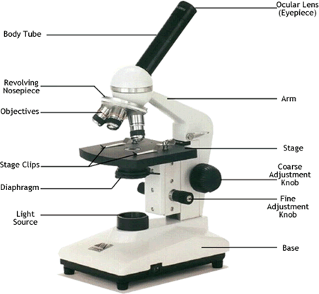 Must have school lab equipment for CBSE ICSE Affiliation