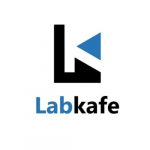 Nice F 41205 D(-) Fructose (Laevulose) (For biochemistry)- 100 gm