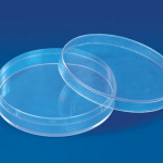 POLYLAB 57501 Petri Dish Culture - 150 mm
