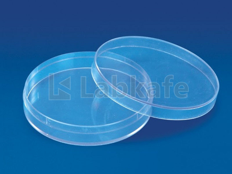 POLYLAB 57501 Petri Dish Culture - 150 mm