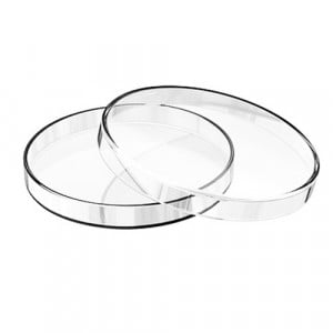 PETRI DISH IMPORTED (Anumbra) Crystal Clear Glass, 4"