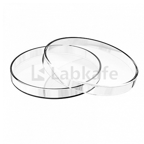 PETRI DISH IMPORTED (Anumbra) Crystal Clear Glass, 3"