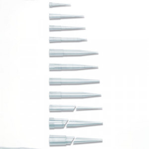 Tarsons 522100 PP Autoclavable Sterile 10ul Racked Graduated Tips-Radiation Sterile - Pack of 960