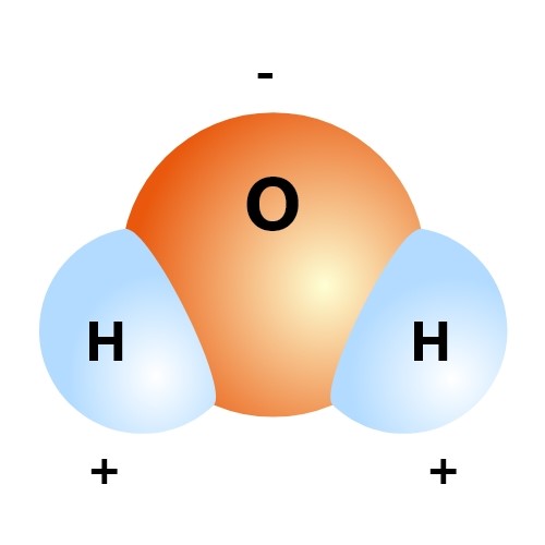 what makes water the universal solvent