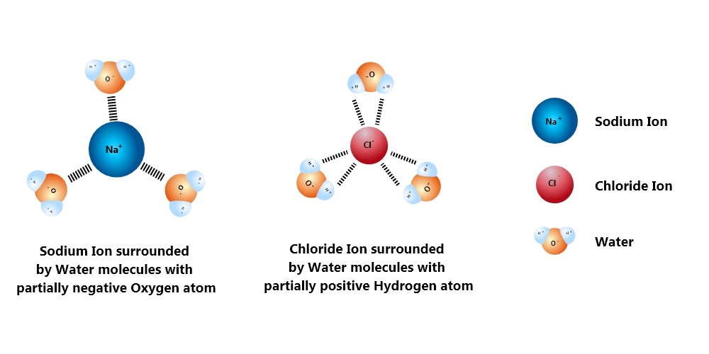 Universal Solvent 3